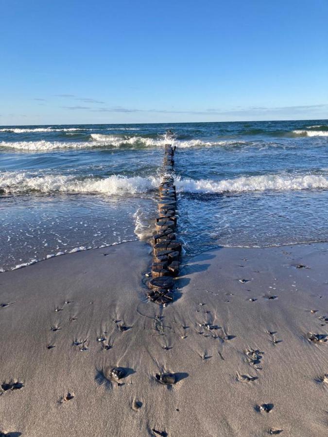 Zingst Achtern Diek 12D Elly Exterior foto